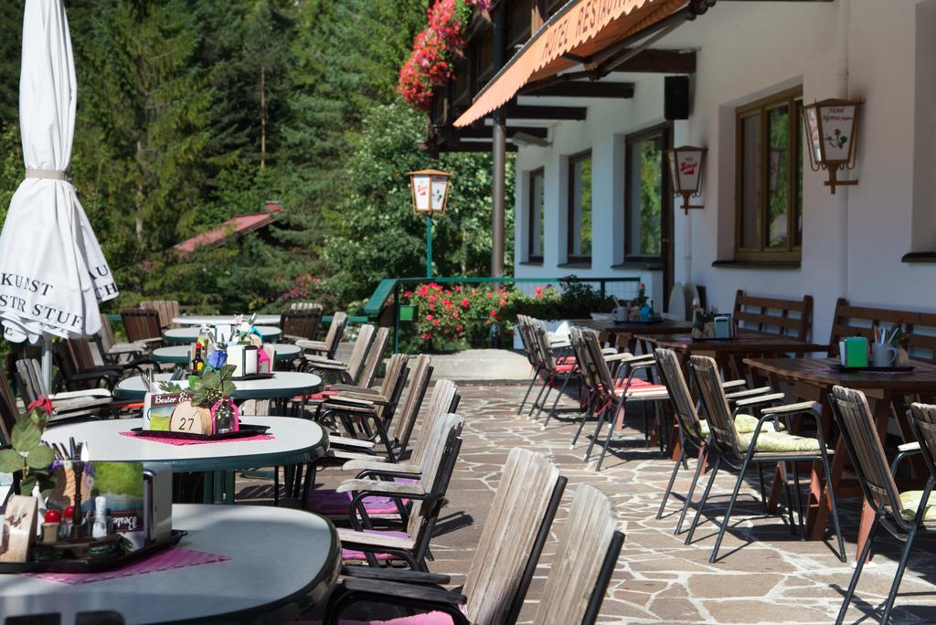 Hotel Alpina Regina Biberwier Eksteriør billede
